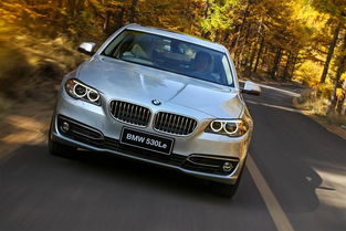 宝马525(宝马525价格),第3张 宝马525(宝马525价格),宝马525(宝马525价格),第3张