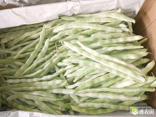 解酒的最好方法有哪些（解酒的最好方式）,解酒的最好方法有哪些（解酒的最好方式）,第2张