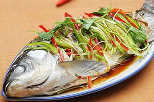 草鱼的家常做法鱼(草鱼做法大全菜谱),第2张 草鱼的家常做法鱼(草鱼做法大全菜谱),草鱼的家常做法鱼(草鱼做法大全菜谱),第2张