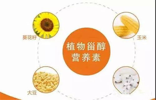 植物甾醇(植物甾醇酯的功效与作用),第3张 植物甾醇(植物甾醇酯的功效与作用),植物甾醇(植物甾醇酯的功效与作用),第3张