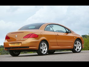 307cc（307Cc有LSD吗）,307cc（307Cc有LSD吗）,第1张