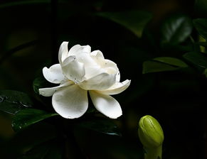 上海工装公司:改善室内空气质量的利器——窗式通风器,第2张 上海工装公司:改善室内空气质量的利器——窗式通风器,上海工装公司:改善室内空气质量的利器——窗式通风器,第2张