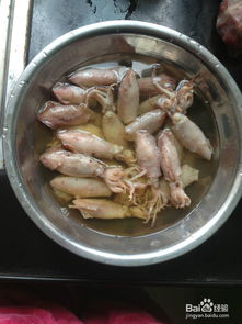 干鱿鱼的做法大全视频(干鱿鱼的做法大全视频教程),第2张 干鱿鱼的做法大全视频(干鱿鱼的做法大全视频教程),干鱿鱼的做法大全视频(干鱿鱼的做法大全视频教程),第2张