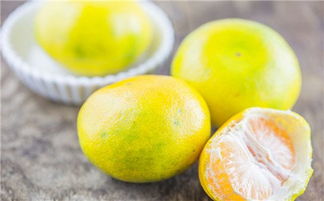 笋瓜的功效与作用(笋瓜的功效与作用中医解释),第1张 笋瓜的功效与作用(笋瓜的功效与作用中医解释),笋瓜的功效与作用(笋瓜的功效与作用中医解释),第1张