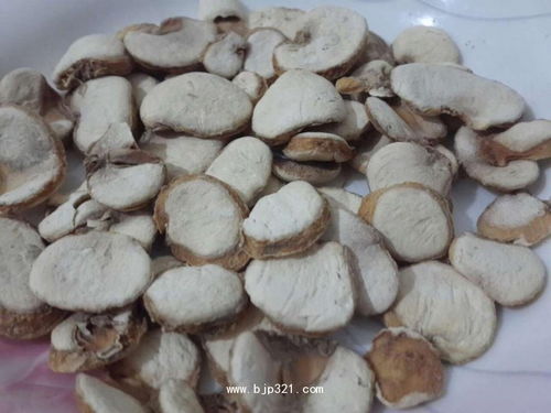 浙贝母的功效与作用(浙贝母的功效与作用图片),第2张 浙贝母的功效与作用(浙贝母的功效与作用图片),浙贝母的功效与作用(浙贝母的功效与作用图片),第2张