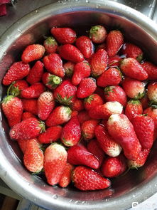 菠萝草莓酱(菠萝果酱和草莓酱哪个好吃),第2张 菠萝草莓酱(菠萝果酱和草莓酱哪个好吃),菠萝草莓酱(菠萝果酱和草莓酱哪个好吃),第2张