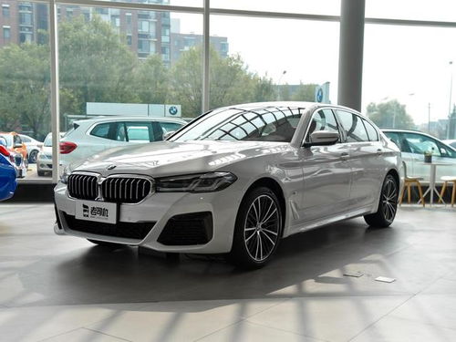 宝马3系li(宝马3系li车长多少米),第3张 宝马3系li(宝马3系li车长多少米),宝马3系li(宝马3系li车长多少米),第3张