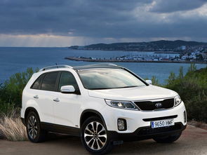 进口起亚索兰托(进口起亚索兰托客服电话),第1张 进口起亚索兰托(进口起亚索兰托客服电话),进口起亚索兰托(进口起亚索兰托客服电话),第1张