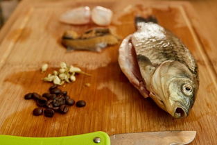 黄金桂鱼(黄金桂鱼刺多吗),第2张 黄金桂鱼(黄金桂鱼刺多吗),黄金桂鱼(黄金桂鱼刺多吗),第2张