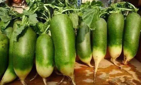 沙窝萝卜(沙窝萝卜是水果萝卜吗),第2张 沙窝萝卜(沙窝萝卜是水果萝卜吗),沙窝萝卜(沙窝萝卜是水果萝卜吗),第2张