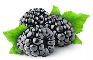 吃什么补肾壮阳（吃什么补肾壮阳的水果）,吃什么补肾壮阳（吃什么补肾壮阳的水果）,第2张