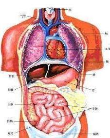 装修办公室：从欧式家具中品味上海风情,装修办公室：从欧式家具中品味上海风情,第3张