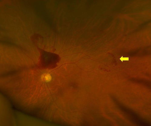 上海办公室空间装修:【好用的空气炸锅推荐】——从品牌、功能、口感三方面给你选择指南,第1张 上海办公室空间装修:【好用的空气炸锅推荐】——从品牌、功能、口感三方面给你选择指南,上海办公室空间装修:【好用的空气炸锅推荐】——从品牌、功能、口感三方面给你选择指南,第1张
