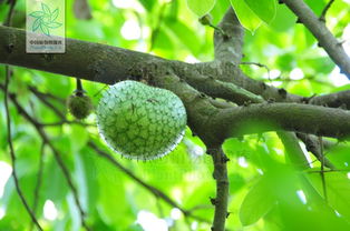 办公室设计:特种陶瓷与未来生活的无限可能,第1张 办公室设计:特种陶瓷与未来生活的无限可能,办公室设计:特种陶瓷与未来生活的无限可能,第1张