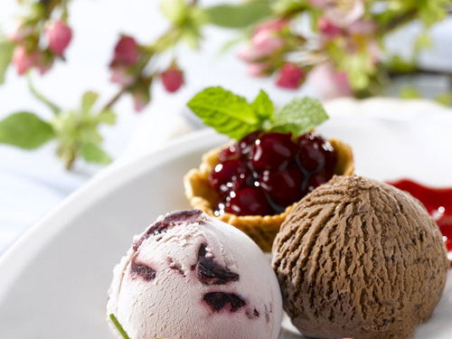 自制冰淇淋的方法(自制冰淇淋的方法有哪些),第3张 自制冰淇淋的方法(自制冰淇淋的方法有哪些),自制冰淇淋的方法(自制冰淇淋的方法有哪些),第3张