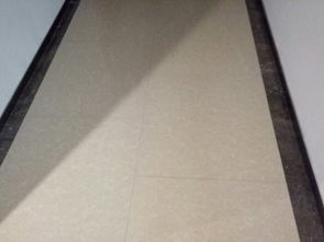 腰线(腰线是指哪里),第2张 腰线(腰线是指哪里),腰线(腰线是指哪里),第2张