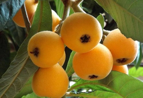 整装装修包含衣柜和橱柜吗(旧房改造装修哪家好又便宜),第2张 整装装修包含衣柜和橱柜吗(旧房改造装修哪家好又便宜),整装装修包含衣柜和橱柜吗(旧房改造装修哪家好又便宜),第2张