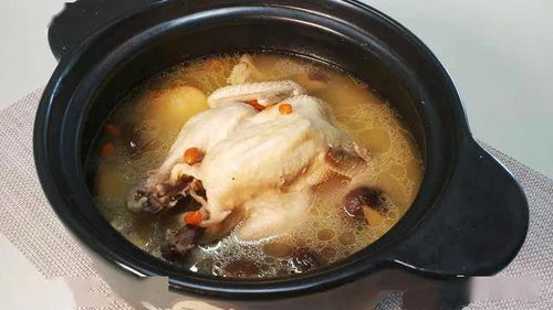 香菇清炖鸡怎么炖好吃(香菇炖鸡清炖怎么做最好吃),第3张 香菇清炖鸡怎么炖好吃(香菇炖鸡清炖怎么做最好吃),香菇清炖鸡怎么炖好吃(香菇炖鸡清炖怎么做最好吃),第3张