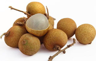 孕妇可以吃桂圆吗(孕妇可以吃桂圆吗中期),第3张 孕妇可以吃桂圆吗(孕妇可以吃桂圆吗中期),孕妇可以吃桂圆吗(孕妇可以吃桂圆吗中期),第3张