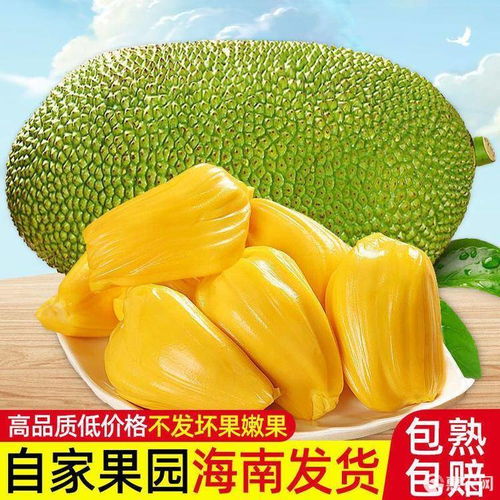 上海工装公司:化学合成涂料经销商的商业模式与策略探析,第1张 上海工装公司:化学合成涂料经销商的商业模式与策略探析,上海工装公司:化学合成涂料经销商的商业模式与策略探析,第1张