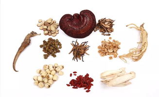 湿疹中药(湿疹中药能彻底治愈吗),第1张 湿疹中药(湿疹中药能彻底治愈吗),湿疹中药(湿疹中药能彻底治愈吗),第1张