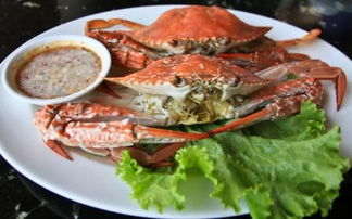 斯柯达skoda(斯柯达skoda空调滤芯在哪),第2张 斯柯达skoda(斯柯达skoda空调滤芯在哪),斯柯达skoda(斯柯达skoda空调滤芯在哪),第2张