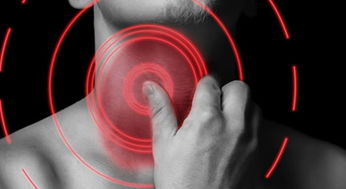 博洛尼官网(博洛尼官网官方网站客服),第2张 博洛尼官网(博洛尼官网官方网站客服),博洛尼官网(博洛尼官网官方网站客服),第2张