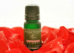 芥菜丝怎么拌好吃(怎么炒芥菜丝好吃),第3张 芥菜丝怎么拌好吃(怎么炒芥菜丝好吃),芥菜丝怎么拌好吃(怎么炒芥菜丝好吃),第3张