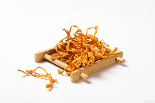 虫草花的功效与作用吃法大全(虫草花的功效与作用吃法大全干白勺功交反白),第1张 虫草花的功效与作用吃法大全(虫草花的功效与作用吃法大全干白勺功交反白),虫草花的功效与作用吃法大全(虫草花的功效与作用吃法大全干白勺功交反白),第1张