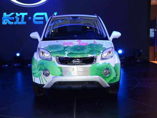 山寨电动汽车（国产杂牌电动汽车）,山寨电动汽车（国产杂牌电动汽车）,第2张