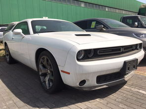 装修平台:白色花朵的寓意:品读花语,第1张 装修平台:白色花朵的寓意:品读花语,装修平台:白色花朵的寓意:品读花语,第1张