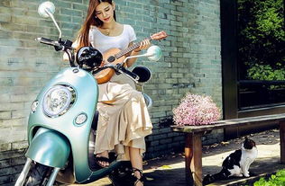 中国电动车排名(中国电动车排名之实力大比拼),第3张 中国电动车排名(中国电动车排名之实力大比拼),中国电动车排名(中国电动车排名之实力大比拼),第3张