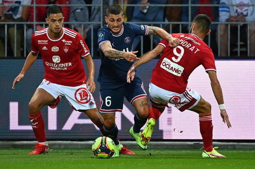 雷斯特ii(法甲里尔VS布雷斯特),第3张 雷斯特ii(法甲里尔VS布雷斯特),雷斯特ii(法甲里尔VS布雷斯特),第3张