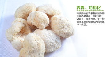 办公室设计装修公司:全自动压力锅,九阳带你开启智能烹饪新时代,第2张 办公室设计装修公司:全自动压力锅,九阳带你开启智能烹饪新时代,办公室设计装修公司:全自动压力锅,九阳带你开启智能烹饪新时代,第2张