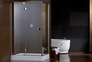 金莎丽淋浴房（金莎丽淋浴房价格多少一平方）,金莎丽淋浴房（金莎丽淋浴房价格多少一平方）,第1张