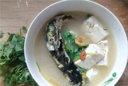 炖鱼汤用热水还是凉水（炖鱼汤用热水好还是凉水好）,炖鱼汤用热水还是凉水（炖鱼汤用热水好还是凉水好）,第2张