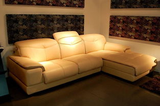 中国皮沙发靠前品牌(中国皮沙发靠前品牌排行榜),第3张 中国皮沙发靠前品牌(中国皮沙发靠前品牌排行榜),中国皮沙发靠前品牌(中国皮沙发靠前品牌排行榜),第3张