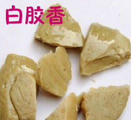 枫香脂(枫香脂图片),第3张 枫香脂(枫香脂图片),枫香脂(枫香脂图片),第3张