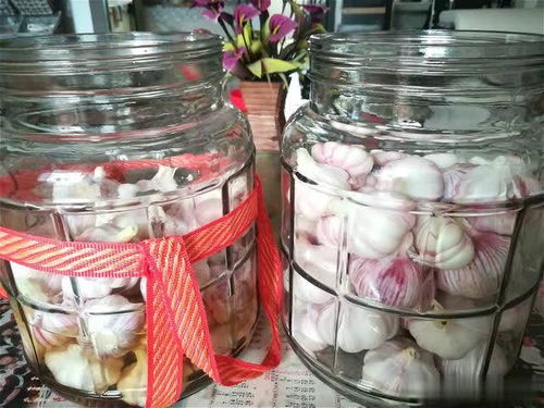 腌糖蒜的配方比例5斤(腌糖蒜的配方比例10斤),第1张 腌糖蒜的配方比例5斤(腌糖蒜的配方比例10斤),腌糖蒜的配方比例5斤(腌糖蒜的配方比例10斤),第1张