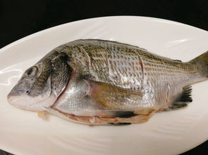 河北装修（河北装修公司）,河北装修（河北装修公司）,第2张