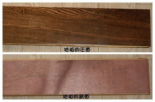 贝亚克地板官网(贝亚克实木多层地板),第3张 贝亚克地板官网(贝亚克实木多层地板),贝亚克地板官网(贝亚克实木多层地板),第3张