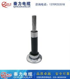 铝芯电缆型号(架空铝芯电缆型号),第3张 铝芯电缆型号(架空铝芯电缆型号),铝芯电缆型号(架空铝芯电缆型号),第3张