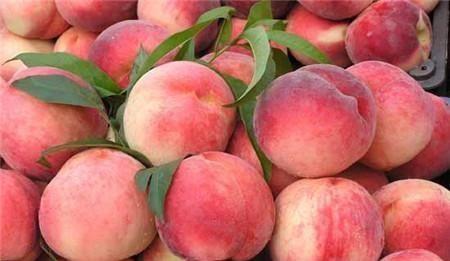 厂房装修：下个月，小区物业费将不再存在,厂房装修：下个月，小区物业费将不再存在,第2张