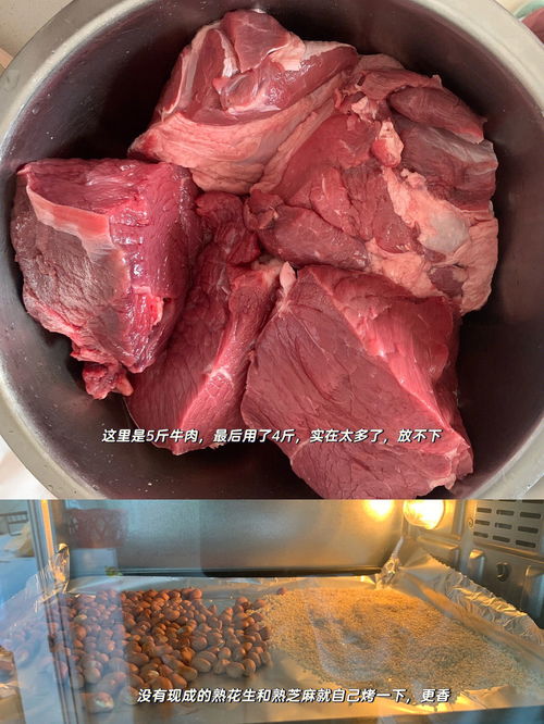 牛肉酱怎么做的视频(牛肉酱的教程视频),第1张 牛肉酱怎么做的视频(牛肉酱的教程视频),牛肉酱怎么做的视频(牛肉酱的教程视频),第1张