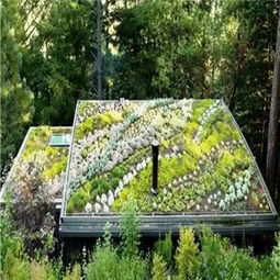 实木橱柜（实木橱柜好不好）,实木橱柜（实木橱柜好不好）,第1张