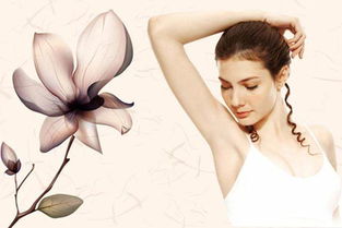 脱毛的好方法(脱毛的好方法和方法),第3张 脱毛的好方法(脱毛的好方法和方法),脱毛的好方法(脱毛的好方法和方法),第3张