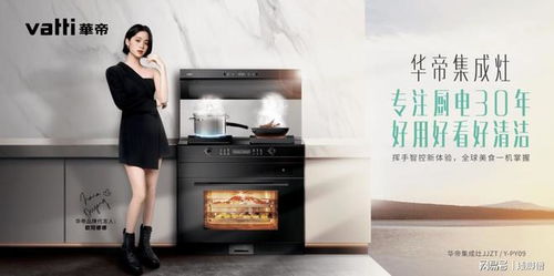 华帝集成橱柜(华帝集成灶上市啦),第1张 华帝集成橱柜(华帝集成灶上市啦),华帝集成橱柜(华帝集成灶上市啦),第1张