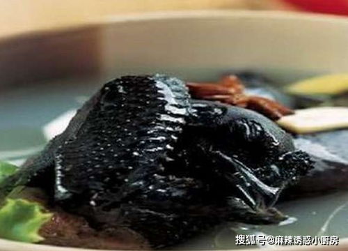 上海装潢设计:谁是电灯的创造者?,第1张 上海装潢设计:谁是电灯的创造者?,上海装潢设计:谁是电灯的创造者?,第1张