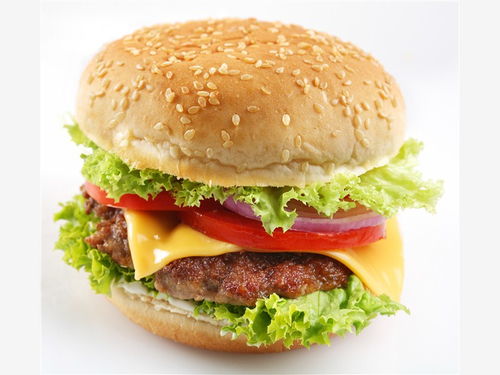 学做汉堡包技术全套(学做汉堡包技术全套视频教程),第2张 学做汉堡包技术全套(学做汉堡包技术全套视频教程),学做汉堡包技术全套(学做汉堡包技术全套视频教程),第2张