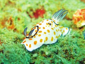 办公室装饰设计:探秘香港东涌的二手房市场,第2张 办公室装饰设计:探秘香港东涌的二手房市场,办公室装饰设计:探秘香港东涌的二手房市场,第2张